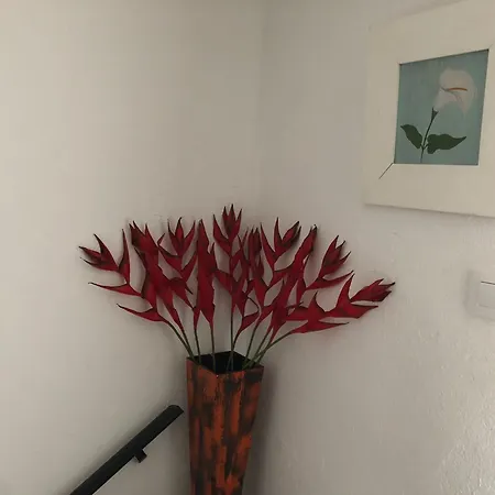 Casita Al Completo En 아파트
